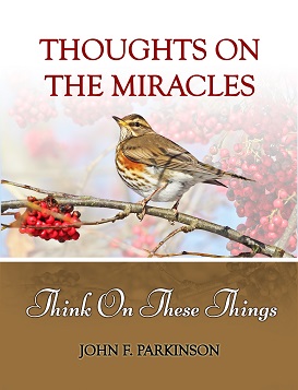 Thoughts On The Miracles by John F. Parkinson